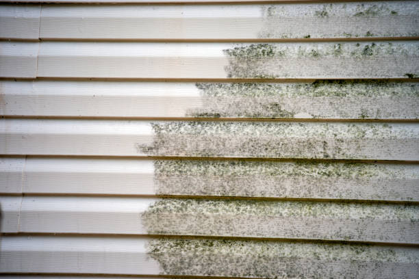 Best Shed Removal  in Walker, LA