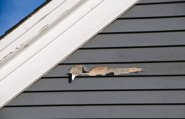 Best Same-Day Junk Removal Services  in Walker, LA
